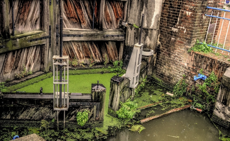 building exterior, run-down, abandoned, offspring, architecture, canal, day, old, damaged, sluis, obsolete, maassluis, green color, ruined, built structure