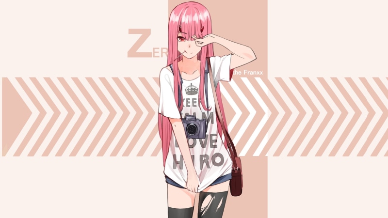 1080P, Darling in the FranXX, Code:002 (ZeroTwo), anime, Keep Calm and..., Code:002, anime girls, red eyes, photographer, striped leggings, smiling, looking at viewer