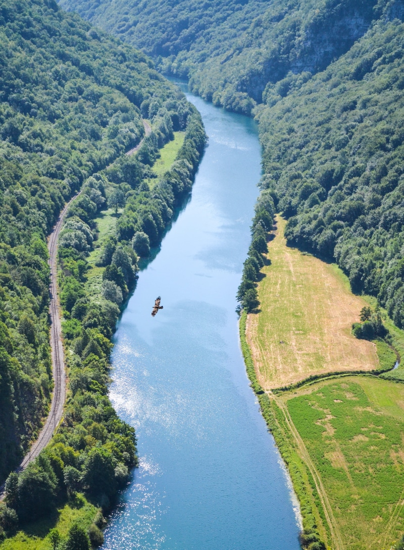 trees, green color, lohovo, non-urban scene, high angle view, bosnia, outdoors, plant, day, idyllic, forest, tourism, nature, tree, scenics - nature, river