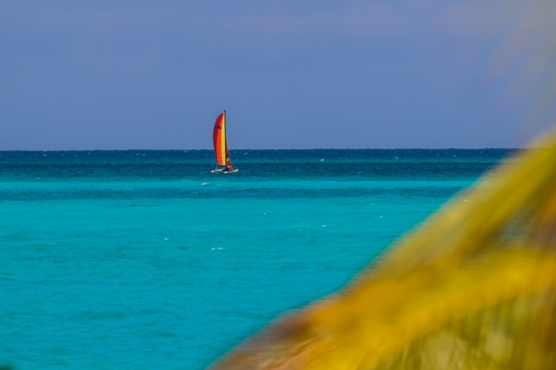 trip, 12-15-18, clear sky, sky, sport, outdoors, scenics - nature, sailboat, horizon, day, water, turquoise colored, blue, sea, land, tranquil scene, nature