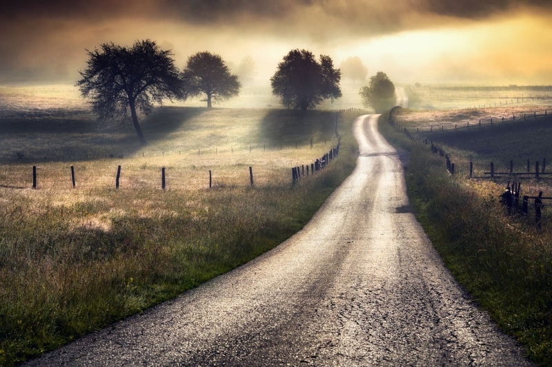 morning, transportation, mist, white, Bosnia and Herzegovina, tranquility, photography, scenics - nature, direction, cloud - sky, sunlight, tree, landscape