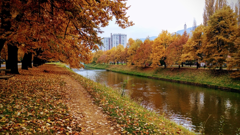 beauty in nature, autumn collection, 5K, walking, tranquility, outdoors, fall, orange color, built structure, architecture, plant, plant part, day, reflection