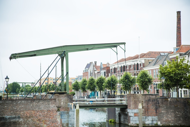 no people, outdoors, plant, nature, day, bridge, historisch delfshaven, building, house, residential district, city, netherlands, historic bridge, historic