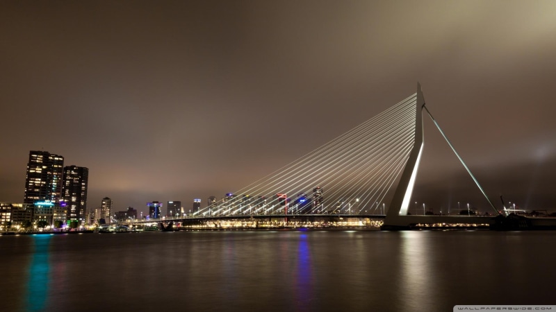 erasmus, rotterdam, city, nature and landscapes, 1080P, netherls, night, lights, bridge