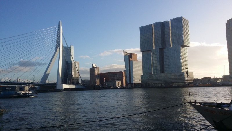 erasmusbrug, 4K, bridge, de rotterdam, netherlands, building, rotterdam, city, de