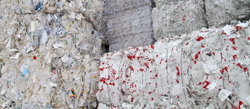 netherlands, day, tree, full frame, communication, backgrounds, environment, wall, recycling, garbage, environmental issues, damaged, recycle, carton, waste