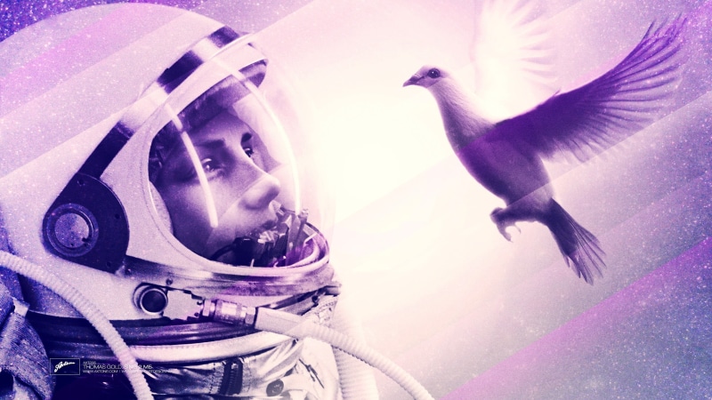headshot, animal wildlife, spaceman, lights, birds, representation, animals in the wild, young adult, Eternal Sunshine of the Spotless Mind, auto post production filter