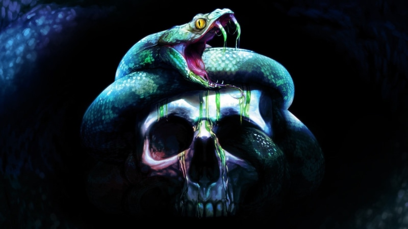 snake, darkness, 1080P, cobra, skull, serpent