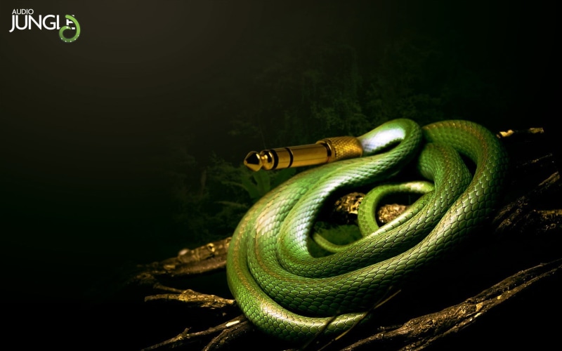 green color, sign, no people, night, 720P, black background, indoors, text, close-up, snake, connection, cable, textile, aux, still life, music, communication