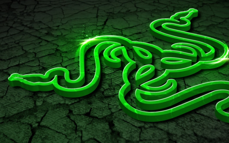 snake, close-up, growth, pattern, plastic, spiral, tangled, Razer, green color, nature, tendril, outdoors, freshness, no people, high angle view, beauty in nature