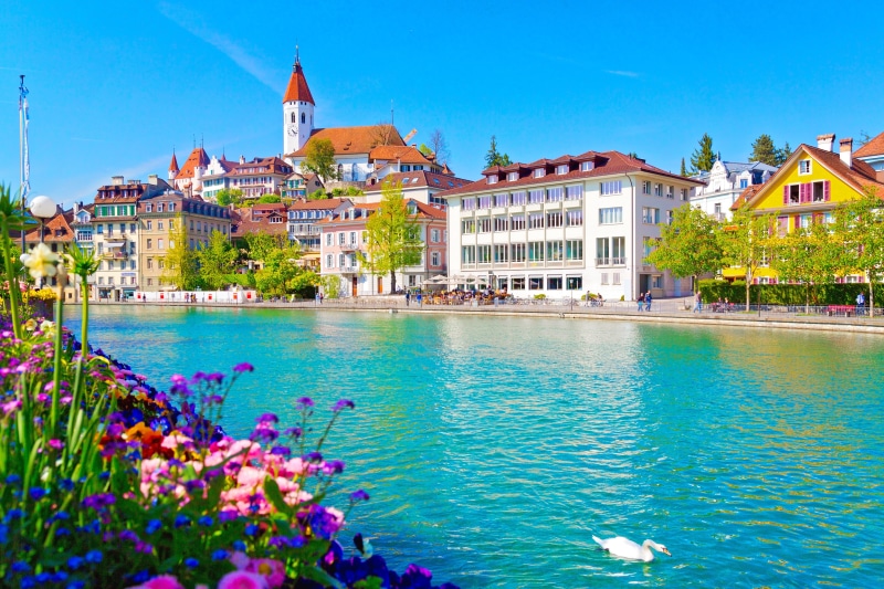 5K, Switzerland, Swan, sea, multi Colored, travel Destinations, cultures, old, flowers, tower, travel, summer, architecture, turquoise colored, sky, body