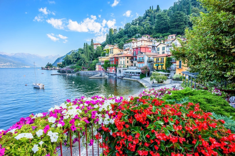 white, tree, yacht, outdoors, lake, petaled, growth, home, built structure, water, architecture, nautical vessel, flower, bed, Lombardy, mountain, beauty in nature