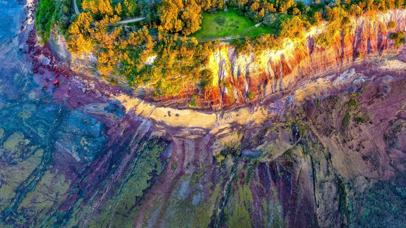 seaside, colors, scenics - nature, day, top view, trees, tranquil scene, tree, mock up, 2K, colours, solid, rock formation, drone shot, water, rock - object
