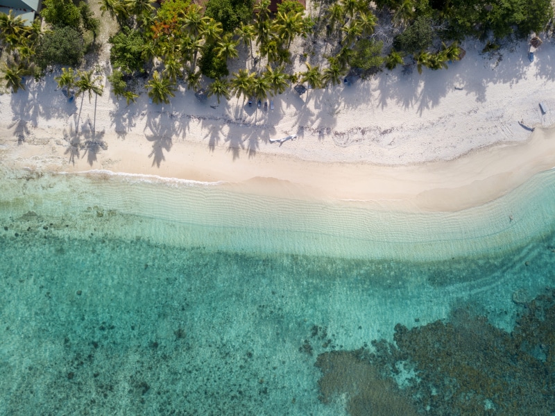 plant, coconut trees, oceanshore, no people, summer, swimming pool, environment, sea, oceanside, view, drone shot, tranquil scene, seaside, outdoors, power in nature