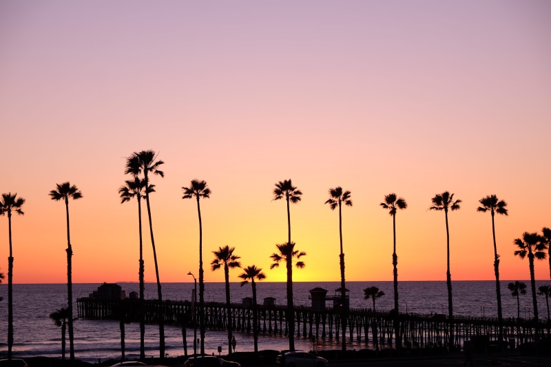 horizon over water, trees, tropical, sunrise, dock, united states, tranquil scene, sunset, oceanside, 4K, tranquility, horizon, oceanside pier, red sky