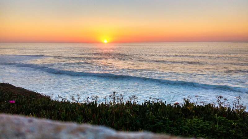 beautiful, landscape, shore, tranquil, dawn, wave, horizon over water, ocean, scenery, orange sky, 4K, seaside, sun, environment, plants, tranquility