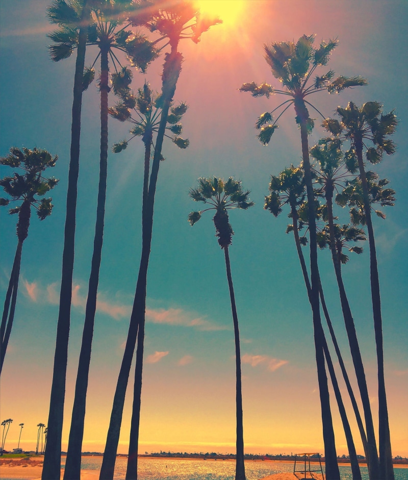 tranquility, land, tropical climate, dramatic sky, scenics - nature, tranquil scene, Sun, coconut palm tree, no people, sea, palm tree, romantic sky