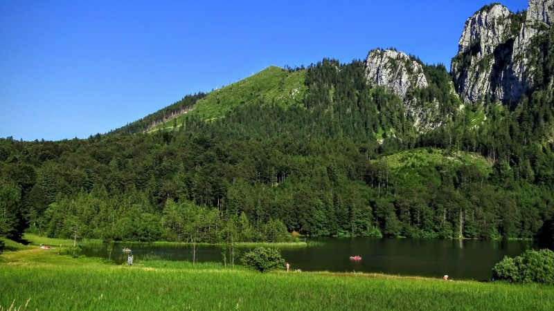 clear sky, traunstein, upper austria, laudachsee, green color, beauty in nature, coniferous tree, grass, land, mountain, non-urban scene, 5K, outdoors