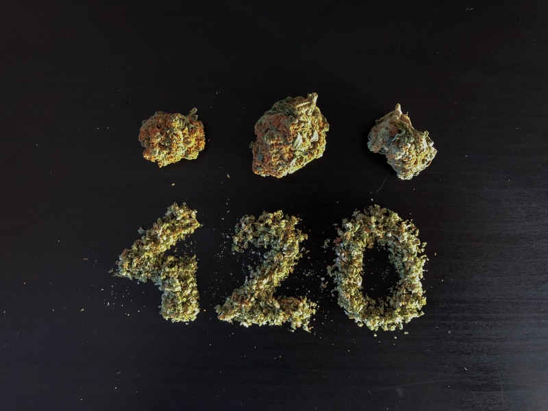 «nugs» 1080P, 2k, 4k Full HD Wallpapers, Backgrounds Free Download