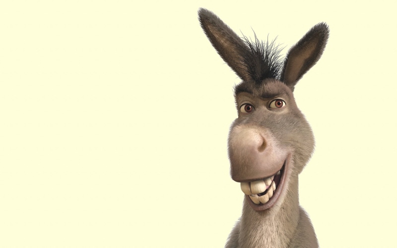 one Animal, no People, looking away, animals And Pets, mouth open, animal, animal body part, donkey, soup, vertebrate, indoors, looking, animal eye, easter