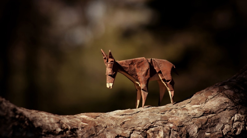 donkey, paper, origami, 2K