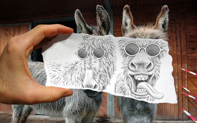 two, hand, holding, human body part, animals, real people, creativity, mask - disguise, animal wildlife, 720P, day, disguise, representation, mask, goats