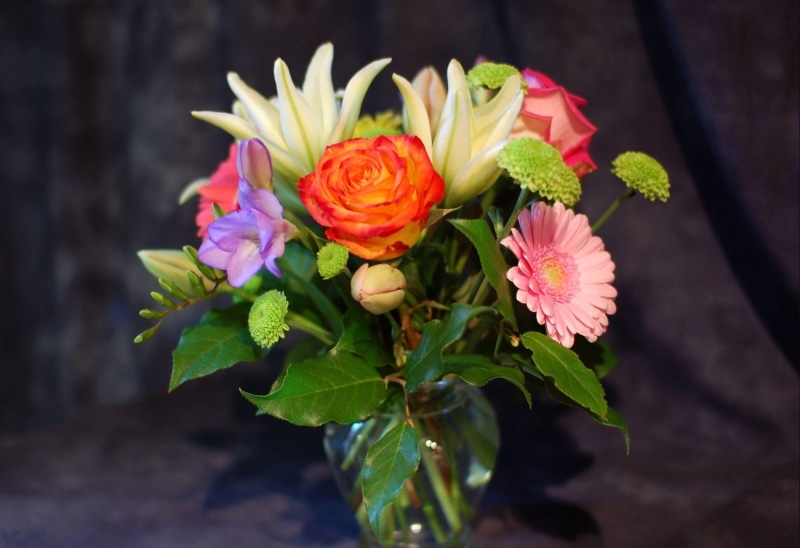 pink, red, romance, arrangement, vulnerability, rose - Flower, summer, plant part, petal, nature, 1080P, outdoors, beauty, leaves, freshness, chrysanthemum