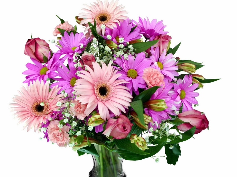 indoors, nature, cut Flowers, white, multi Colored, bunch, pink, pink Color, vulnerability, gypsophila, daisy, bouquets, bouquet, flowering plant, yellow