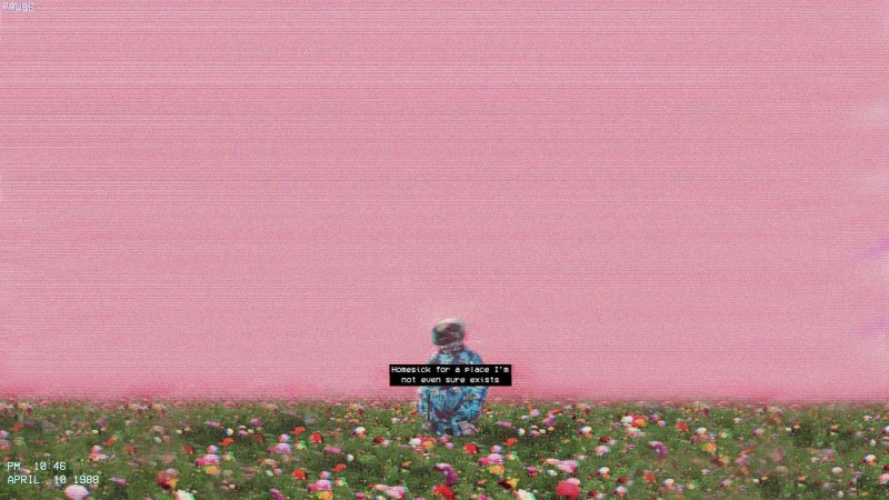 one person, summer, glitch art, idyllic, field, plant, astronaut, freshness, fragility, flowering plant, 1080P, flower, purple, leisure activity, nature