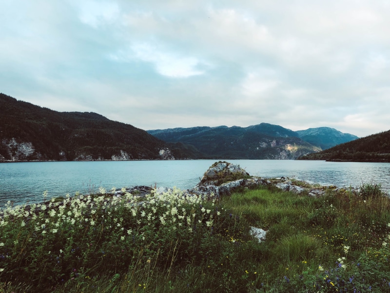 day, environment, lake, norway, sea, rock, scandinavia, tranquility, fjord, scenics - nature, grass, water, plant, non-urban scene, landscape, trondheim
