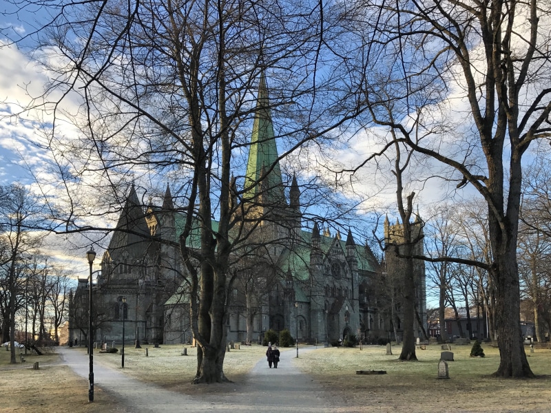 travel, nature, Norway, one animal, people, branch, men, walking, built structure, city, Scandinavia, building, winter, park, plant, bare tree, incidental people