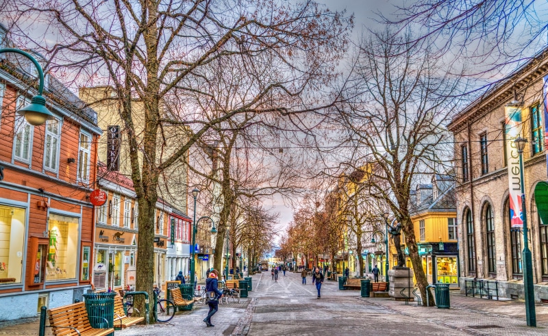 plant, city, people, outdoors, the way forward, norway, street, focus on foreground, day, architecture, scenery, building, colorful, tourism, bare tree