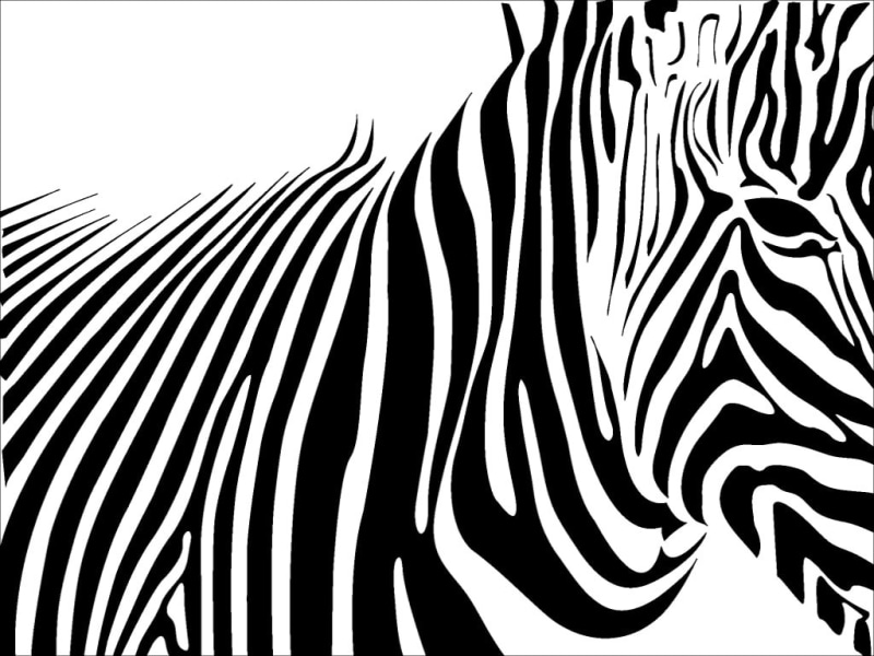 horse, 480P, lines, animals, white, art, eyes, abstract, black, head, zebra