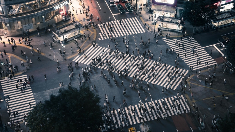 sign, Tokyo, Shibuya, s, streets, zebra crossing, car, built structure, incidental people, photo, road, crosswalk, crowd, city street, city, group of people