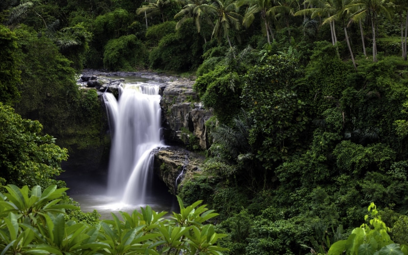 village, foliage, blurred motion, outdoors, bali, power, north, long exposure, flowing water, gianyar, kemenuh, beauty in nature, falling water, land, denpasar