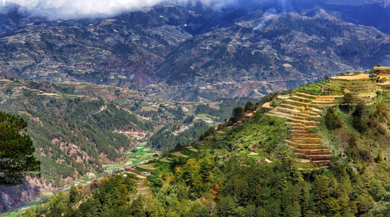 farmers, philippines, vegetables, high angle view, hilltop, baguio, mountain, mountain range, rice, plant, agriculture, terraces, cardillera, non-urban scene