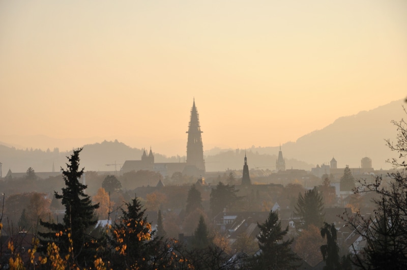 fog, place of worship, architecture, history, famous Place, outdoors, Freiburg, sunrise - Dawn, Münster, religion, building exterior, Landscape, 4K, nature