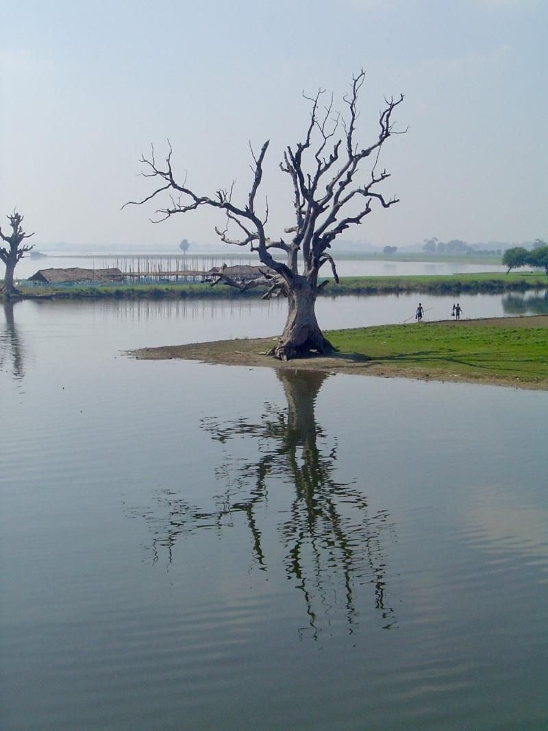 myanmar (burma), plant, water, day, waterfront, tree, 1080P, beauty in nature, tranquil scene, bare tree, sagaing, non-urban scene, outdoors, mandalay - shwebo rd