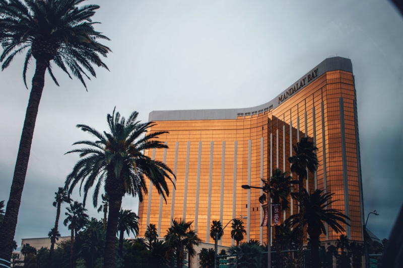 palm tree, 5K, building, city, palms, sky, bay, Las Vegas, silhouettes, trees, date palm tree, low angle view, building exterior, resort, coconut palm tree