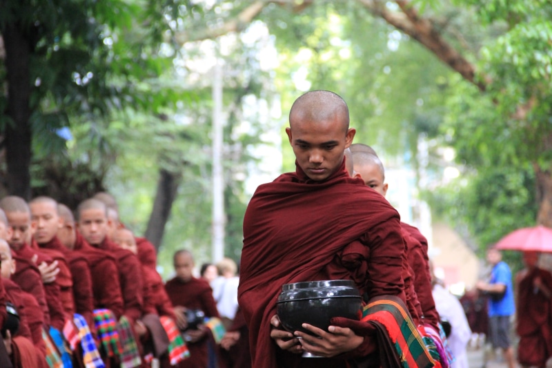 tree, shaved head, real people, monks, rear view, monastery, incidental people, mandalay region, day, adult, plant, crowd, focus on foreground, myanmar (burma)