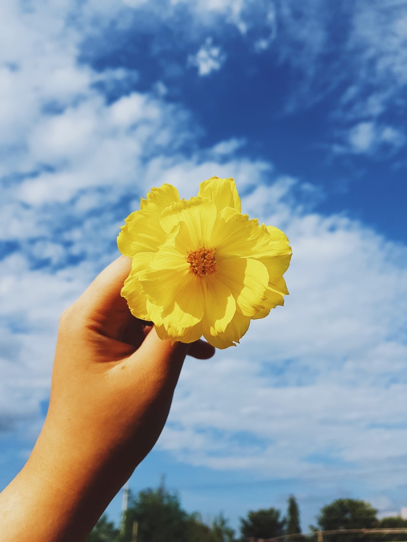 one person, freshness, flower, sky, cloud - sky, myanmar (burma), flowering plant, real people, beauty in nature, finger, yangon - mandalay hwy, body part