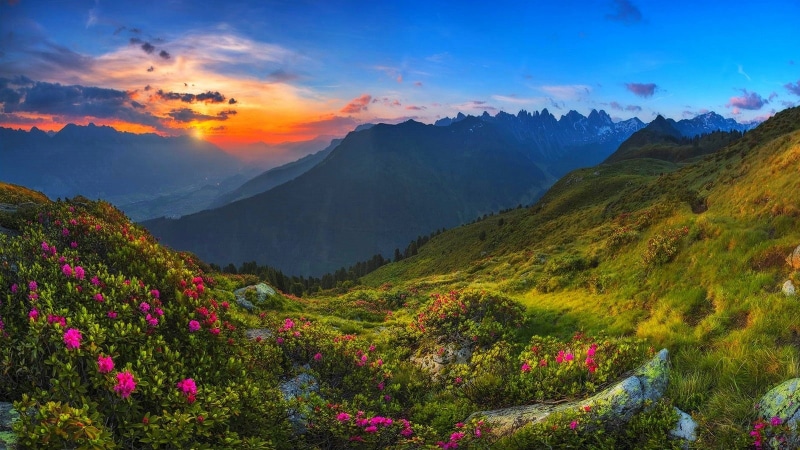 landscape, clouds, sky, mist, Tyrol, grass, 720P, mountains, Austria, nature, wildflowers