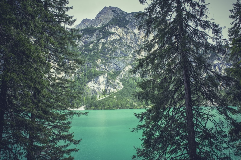 italy, idyllic, view, nature, 5K, fields, distant view, leisure, trees, day, mountain range, alpine, tree, mountain lake, forest, lake, mountains, glacial lake