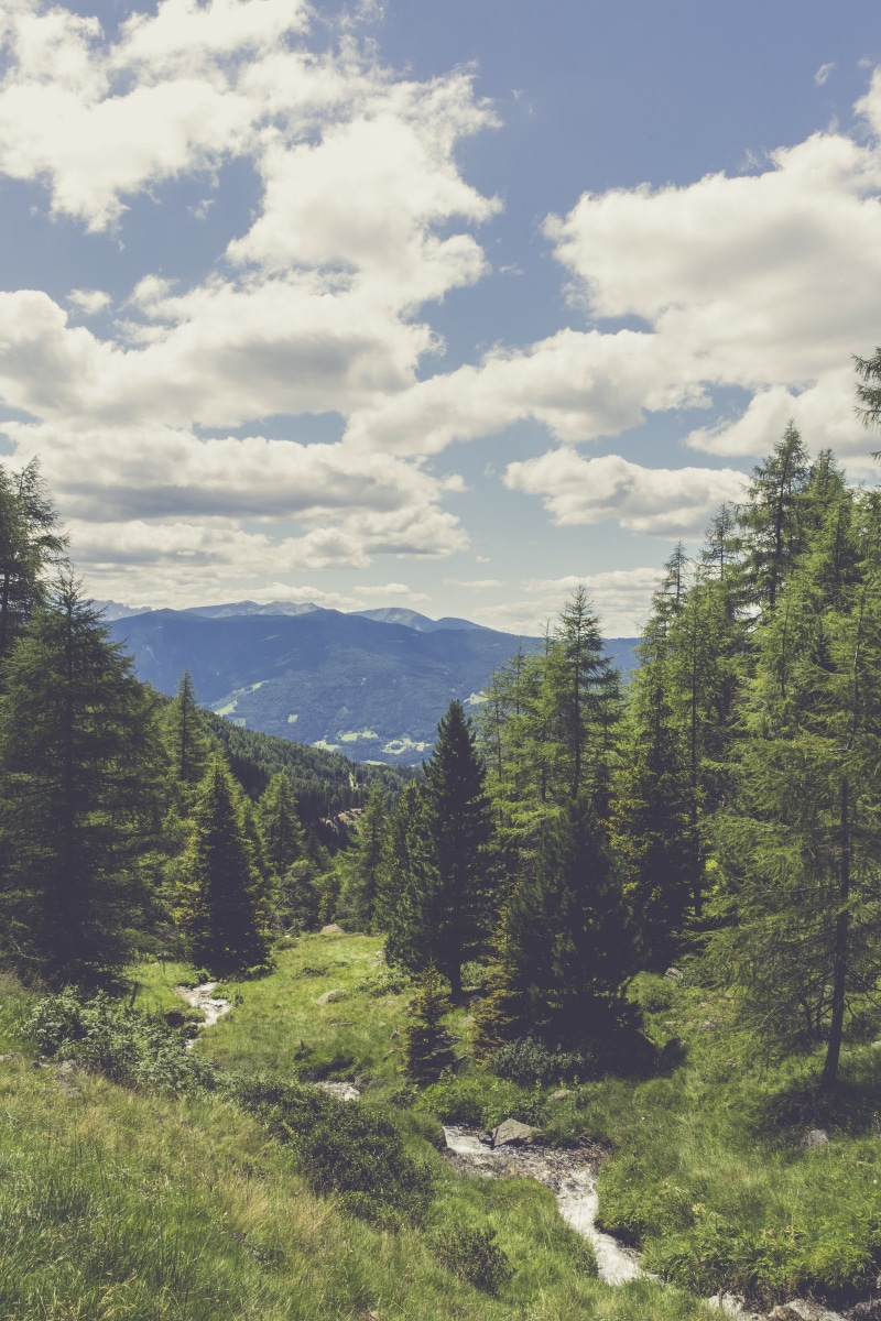 sky, mountain lake, foresight, nature park, view, green color, viewpoint, mountain, leisure, glacial lake, growth, places of interest, forest, scenics - nature