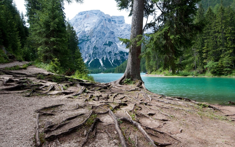 braies, lake, di, mountains, forest, 2K, lago