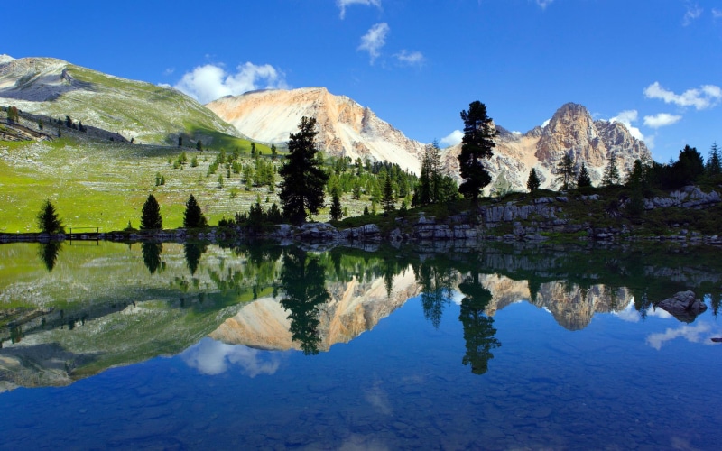 1080P, sennes, natural, park, fanes, braies
