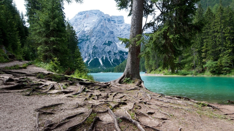forest, 1080P, italy, snow, hd, rivers, x, mountains, trees, art, braies, Landscapes, forests, nature