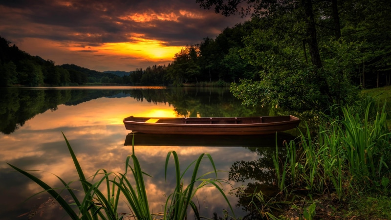 sunset, tranquility, 5K, landscape, green color, cloud - sky, grass, tree, beauty in nature, desktop, plant, reflection, outdoors, tranquil scene