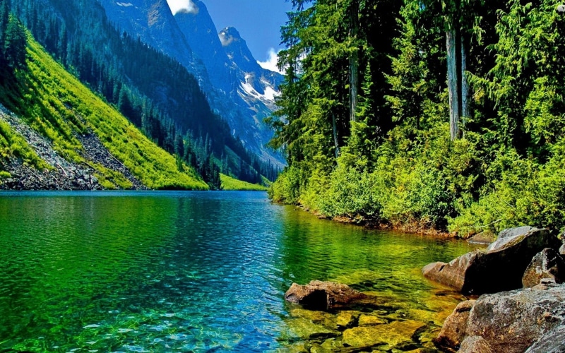 4K, clear, nature, stone, river, pine, landscape, peaks, forest, hd, mountain, desktop, mountainous