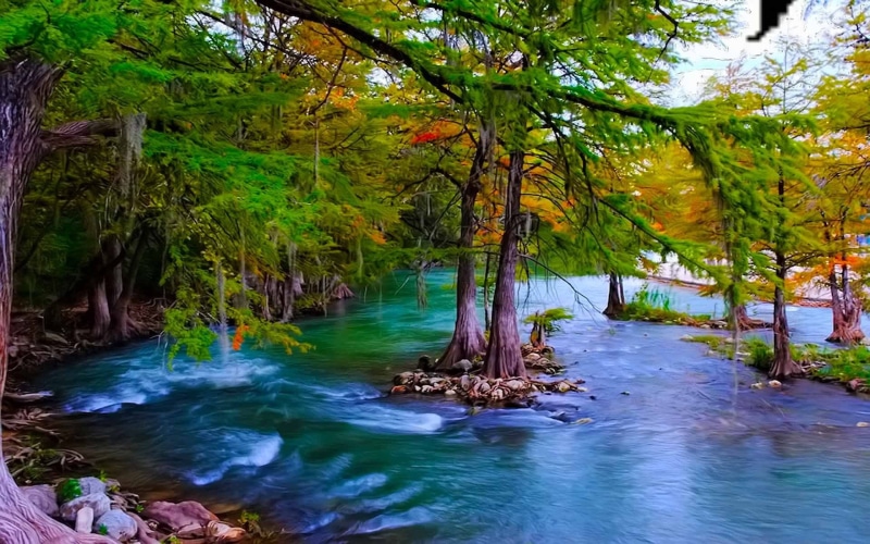 1080P, water, windows, river, beautiful, pine, hd, turquoise, trees, stone, green, mountain